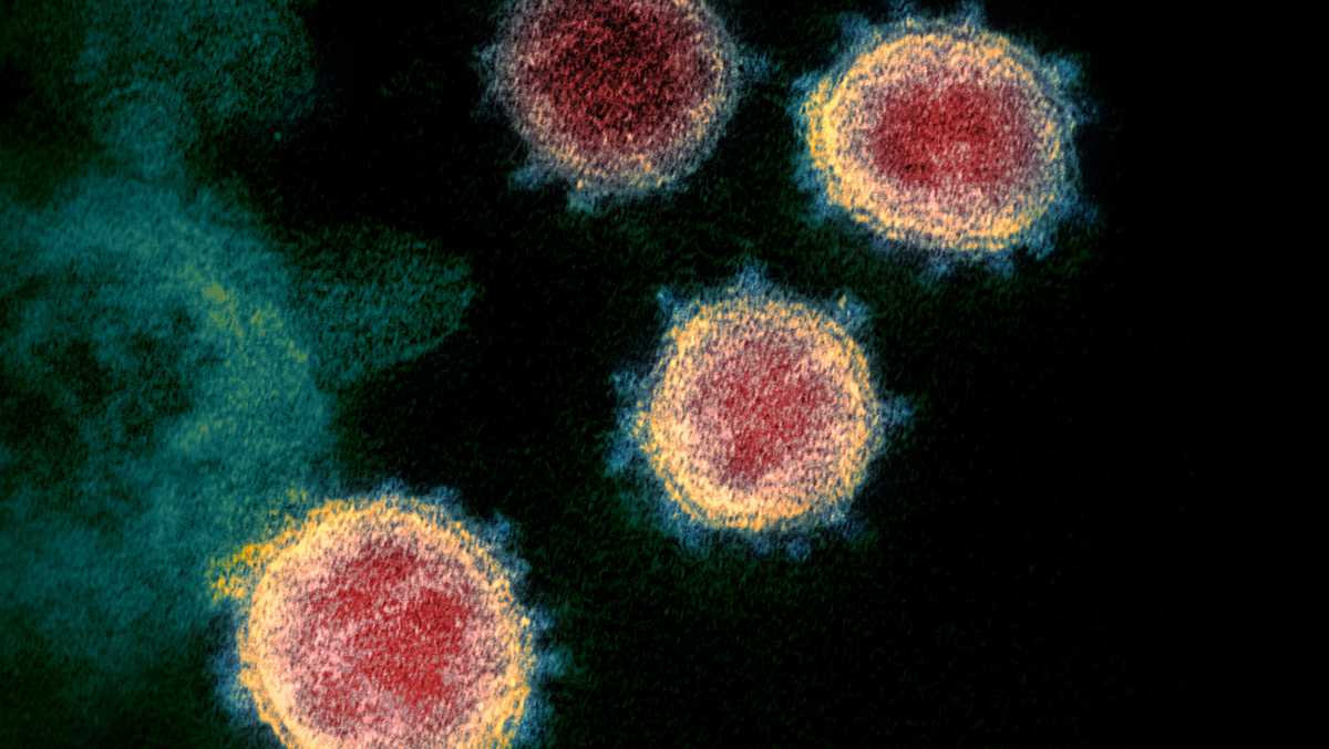 Maine CDC informa 1 nueva muerte relacionada con coronavirus, 590 nuevos casos